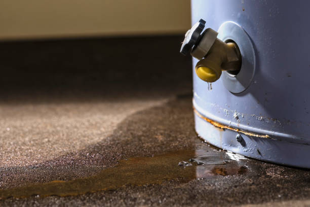 Best Sewage cleanup and water damage restoration  in Anchorage, KY