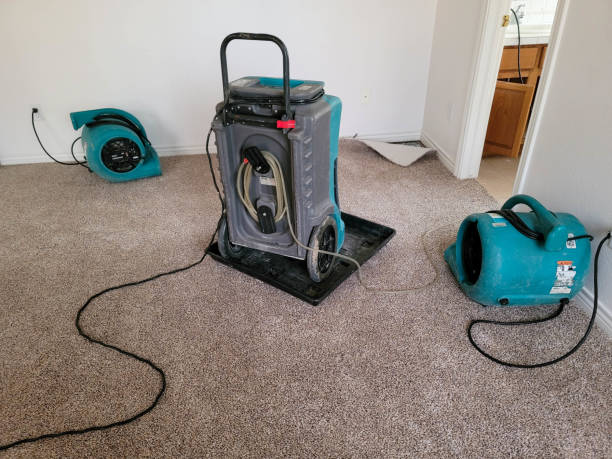 Trusted Anchorage, KY Water damage restoration Experts