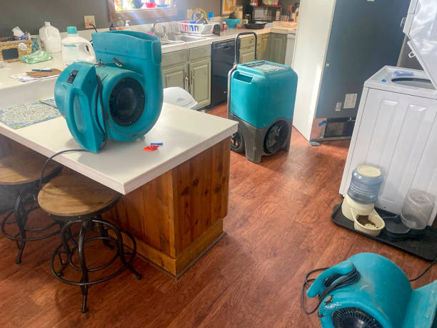 Best Local water damage restoration  in Anchorage, KY