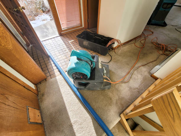Best Water damage restoration near me  in Anchorage, KY