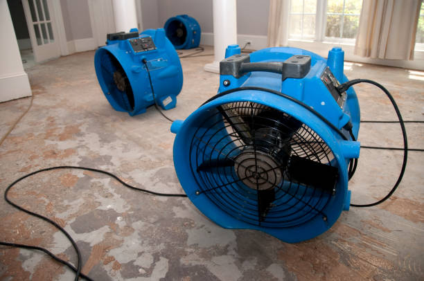  Anchorage, KY Water damage restoration Pros