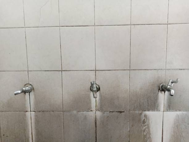 Best Water damage contractors near me  in Anchorage, KY