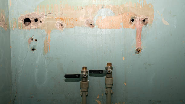 Carpet water damage restoration in Anchorage, KY