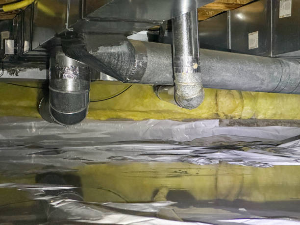 Best Professional water damage repair  in Anchorage, KY