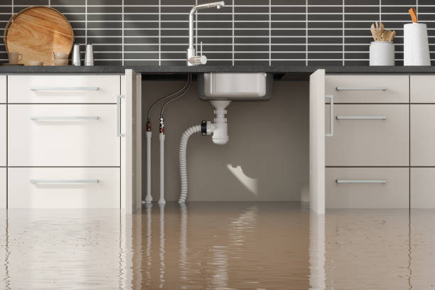 Best Water damage cleanup near me  in Anchorage, KY