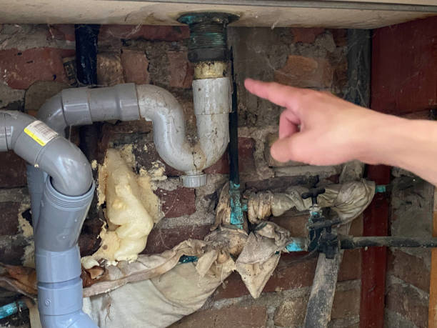 Best Professional water damage repair  in Anchorage, KY
