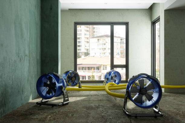 Best Flood restoration services  in Anchorage, KY