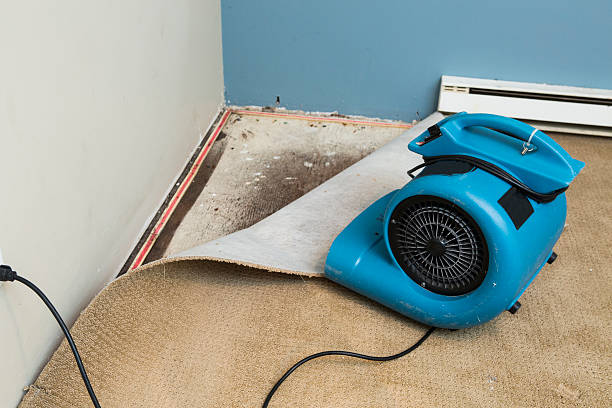 Best Fire Damage Restoration  in Anchorage, KY